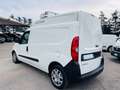 Fiat Doblo Doblò 1.6 MJT 105CV S&S PL-TA FRIGO (FRCX) -20 st Blanc - thumbnail 8