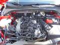 Ford Focus Active X 155PS Benzin mHEV Automatik Rot - thumbnail 16