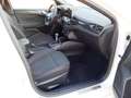 Ford Focus 1.0 EcoBoost Hybrid 125 CV 5p. ST-Line Blanco - thumbnail 19