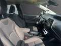 Toyota Prius+ Dynamic Business Gris - thumbnail 4