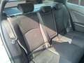 Toyota Prius+ Dynamic Business Gris - thumbnail 5