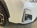 Subaru XV XV 2.0d S Style 6mt E6 Weiß - thumbnail 17