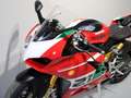 Ducati Panigale V2 Bayliss Anniversary - thumbnail 12