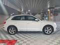 Audi Q5 2.0 TDI 163 CV S tronic 7 Quattro Avus * REPRISE POSSIBLE * - thumbnail 6