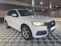 Audi Q5 2.0 TDI 163 CV S tronic 7 Quattro Avus * REPRISE POSSIBLE * - thumbnail 14