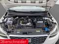 SEAT Arona 1.0 TSI Xperience LED ACC CAM SHZ 17 Weiß - thumbnail 21