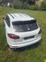 Porsche Cayenne S Diesel Weiß - thumbnail 6