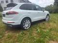 Porsche Cayenne S Diesel Weiß - thumbnail 8