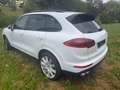 Porsche Cayenne S Diesel Weiß - thumbnail 10