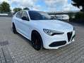 Alfa Romeo Stelvio Veloce 2.0 #Panorama #LederRosso Blanc - thumbnail 8