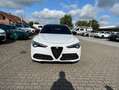 Alfa Romeo Stelvio Veloce 2.0 #Panorama #LederRosso Blanc - thumbnail 2