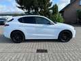 Alfa Romeo Stelvio Veloce 2.0 #Panorama #LederRosso Blanc - thumbnail 7