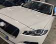 Jaguar F-Pace 2.0d 180cv TETTO PANORAMICO Blanc - thumbnail 3
