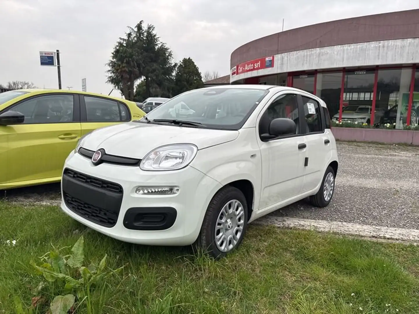 Fiat Panda 1.0 FireFly S&S Hybrid Blanc - 2
