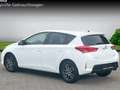 Toyota Auris Edition 1,6ltr. 6-Gang Business Paket EPH Klima SH Wit - thumbnail 2