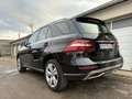 Mercedes-Benz ML 250 250 CDI,4X4,Neue ÖAMTC Pi. - thumbnail 11