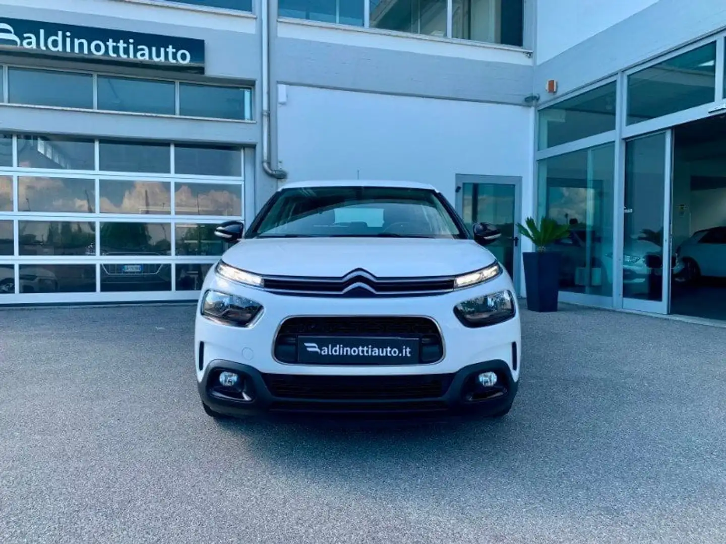 Citroen C4 Cactus BlueHDi 120 S&S EAT6 Feel Pack Bianco - 2