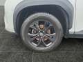 Toyota Yaris Cross 1,5l Hybrid, 4x4, Elegant Weiß - thumbnail 15