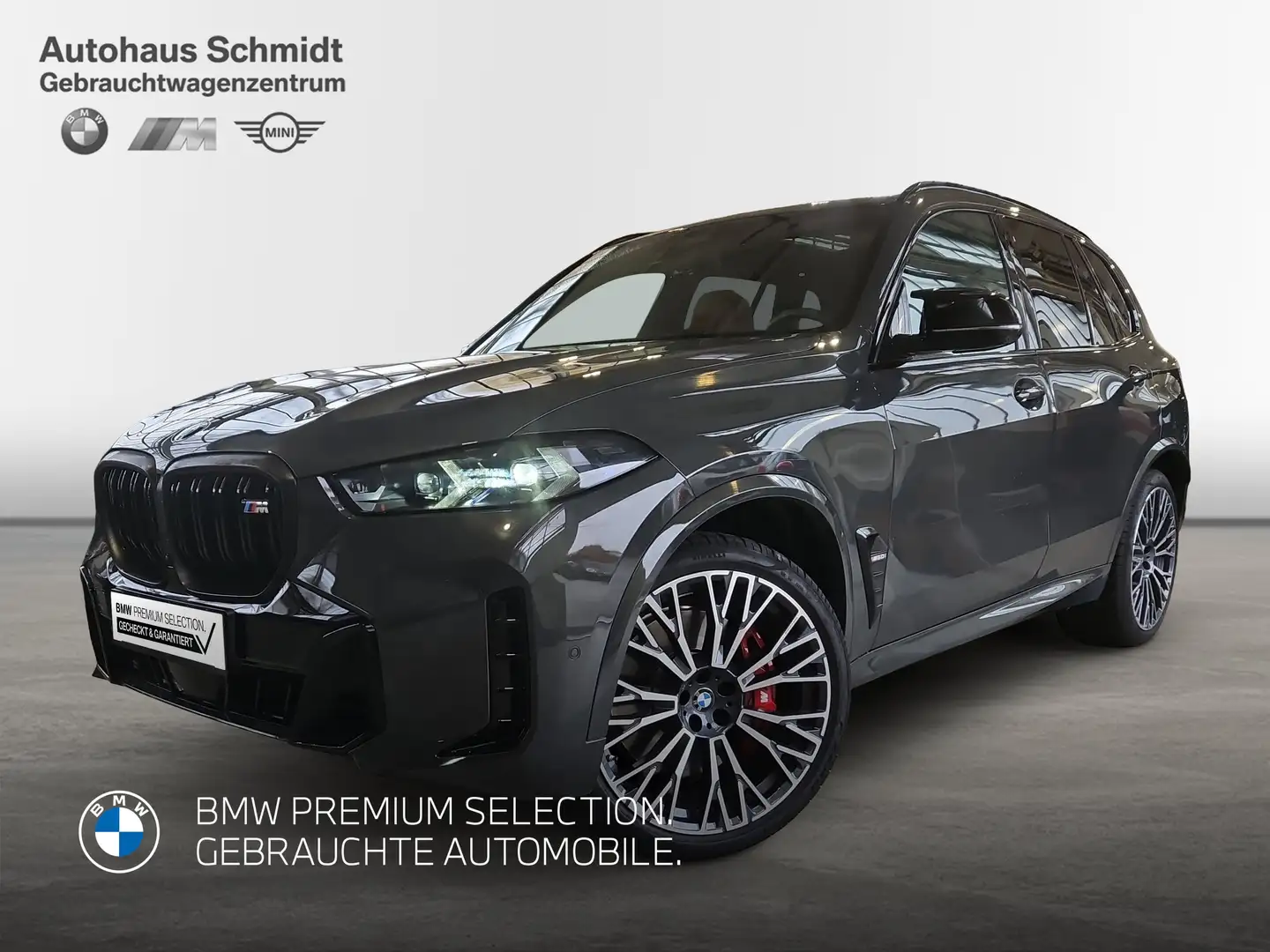 BMW X5 M60i xDrive Gestiksteuerung HK HiFi DAB LED Grau - 1