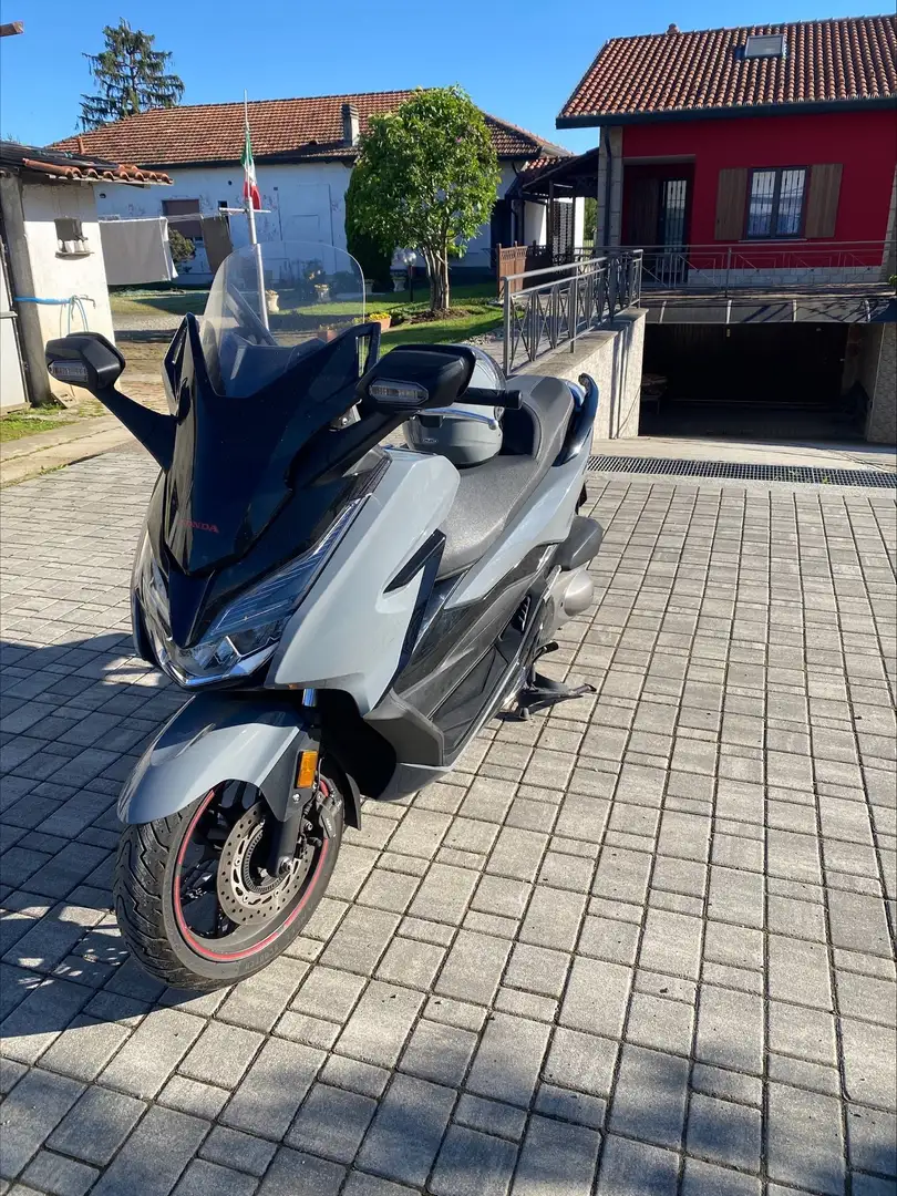 Honda Forza 300 ABS Special Edition Gris - 2