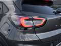 Ford Puma Titanium X. AHK. NAVI. ACC. RFK. TWA. GJR Gris - thumbnail 15