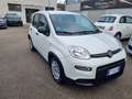 Fiat Panda Panda III 2021 1.0 firefly hybrid s Weiß - thumbnail 4