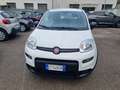 Fiat Panda Panda III 2021 1.0 firefly hybrid s Weiß - thumbnail 2