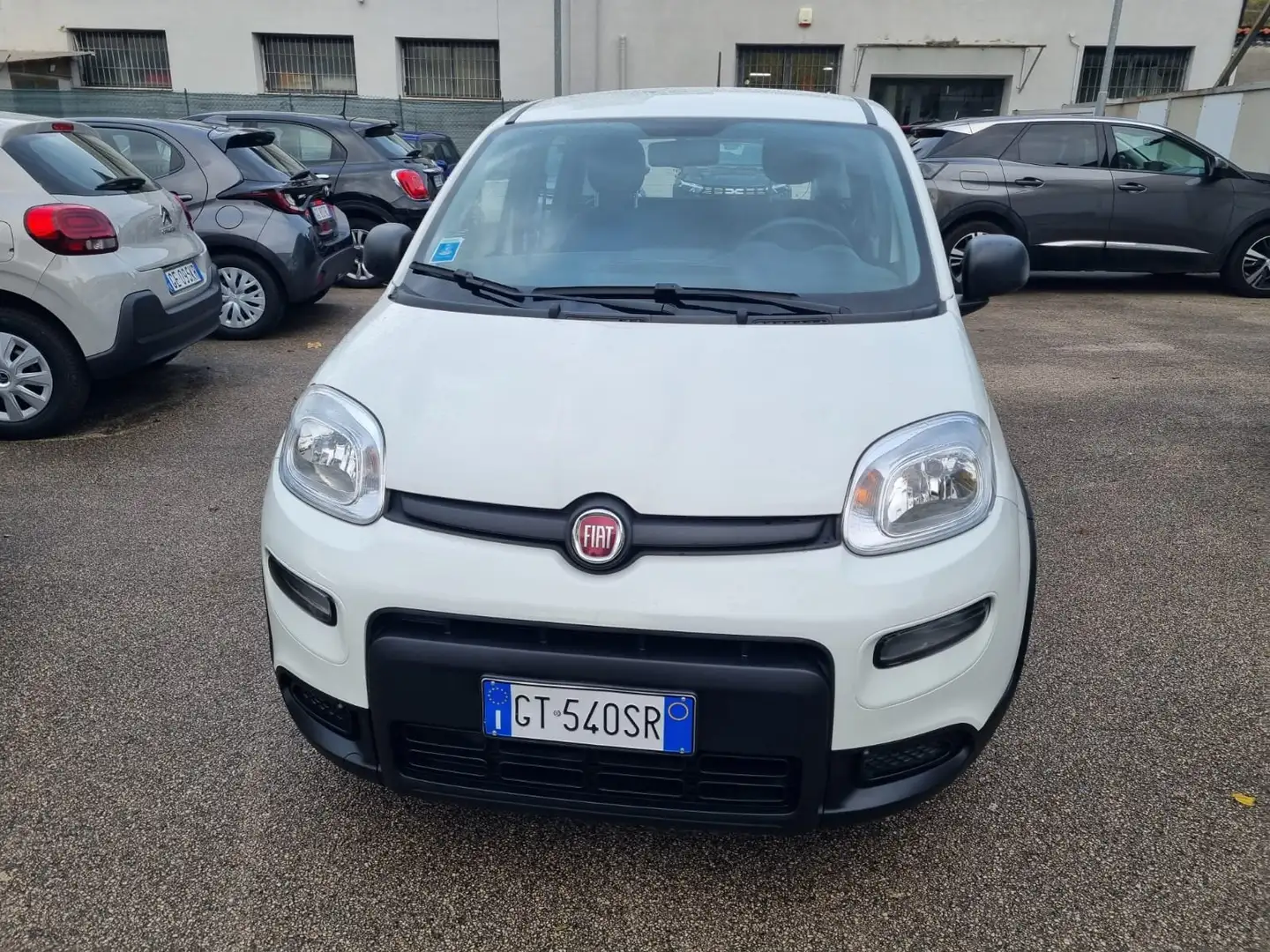 Fiat Panda Panda III 2021 1.0 firefly hybrid s Weiß - 2