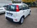 Fiat Panda Panda III 2021 1.0 firefly hybrid s Weiß - thumbnail 5