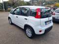 Fiat Panda Panda III 2021 1.0 firefly hybrid s Weiß - thumbnail 1