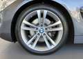 BMW 428 i Coupe Sport Line LEDer+KAM+STANDH+HARM+AHK+DAB Grau - thumbnail 20