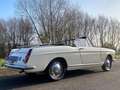 Peugeot 404 Cabriolet Beige - thumbnail 46