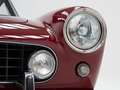 Ferrari 250 GTE '61 CH3503 Red - thumbnail 12