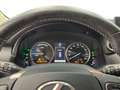 Lexus NX 300h I 2014 300h 2.5 Executive 4wd cvt Grijs - thumbnail 10
