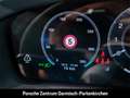 Porsche Panamera GTS LenkradHZG StandHZG 360 Kamera Gri - thumbnail 17