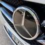 Mercedes-Benz A 160 Classe A - W176 cdi Premium auto Bianco - thumbnail 17