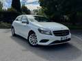Mercedes-Benz A 160 Classe A - W176 cdi Premium auto Bianco - thumbnail 1