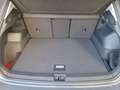 Volkswagen Tiguan Friends TDI 4MOTION DSG Grau - thumbnail 17