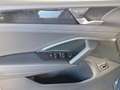 Volkswagen Tiguan Friends TDI 4MOTION DSG Grau - thumbnail 15