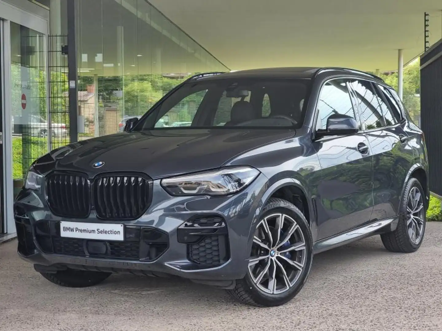 BMW X5 xDrive 25d Gris - 1