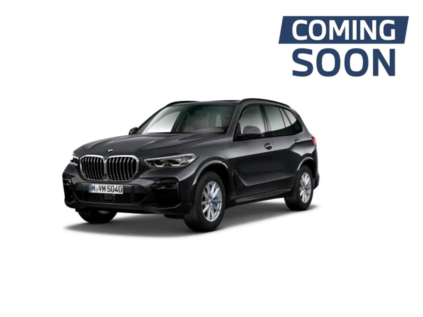 BMW X5 xDrive 25d Gris - 2
