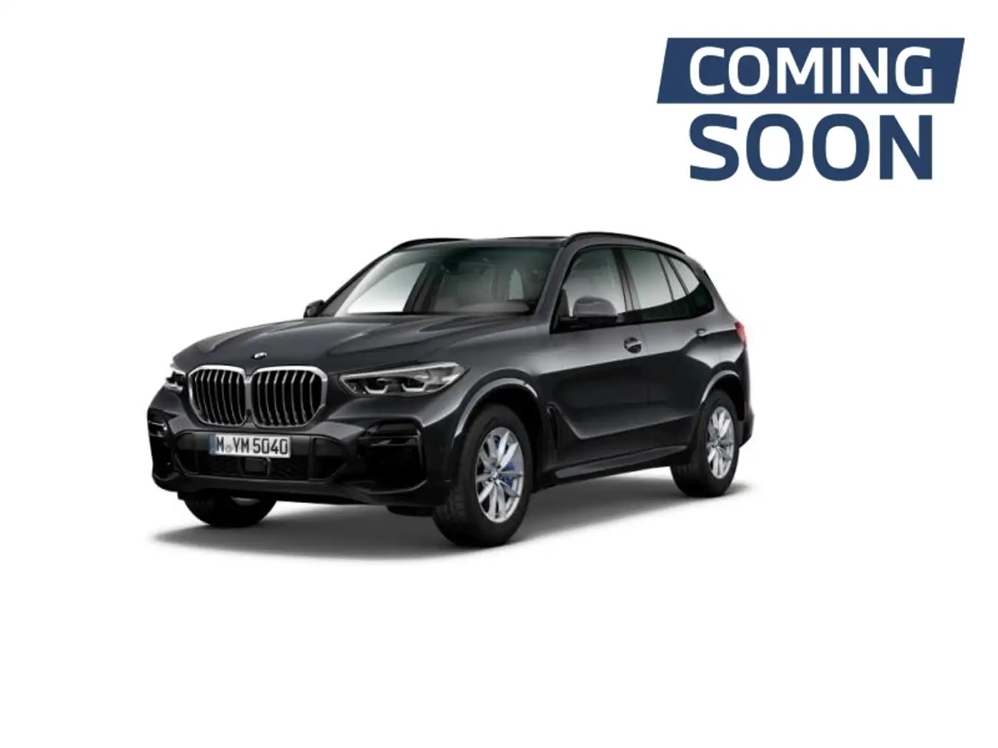 BMW X5 xDrive 25d Gris - 1