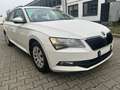 Skoda Superb Active , 2,0 Ltr. - 110 kW TDI Automatik Weiß - thumbnail 2