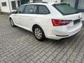 Skoda Superb Active , 2,0 Ltr. - 110 kW TDI Automatik Weiß - thumbnail 5
