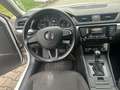 Skoda Superb Active , 2,0 Ltr. - 110 kW TDI Automatik Weiß - thumbnail 9
