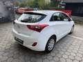 Hyundai i30 Europe plus Weiß - thumbnail 7