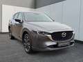 Mazda CX-5 SKYACTIV-G 194 AWD 5T 6AG AL-ADVANTAGE Gris - thumbnail 8