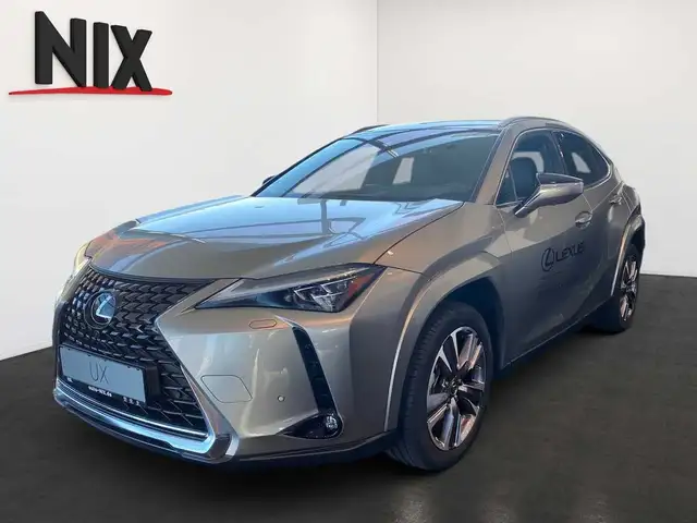Lexus UX 300e Entry + Luxury-Paket + HUD