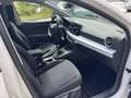 SEAT Ibiza 1.0 TSI *TOP-Ausstattung* S&S STYLE Blanc - thumbnail 14