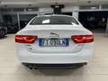 Jaguar XE 2.0d Prestige 180 cv Uff. Italiana Bianco - thumbnail 5